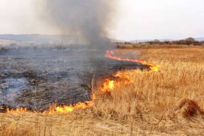 За сутки на Черкасщине произошло 4 пожара сухой травы и камыша