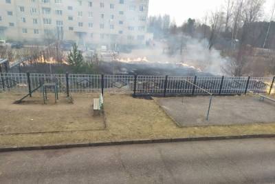 В Тверской области дети играли с огнем и подожгли траву возле жилого дома