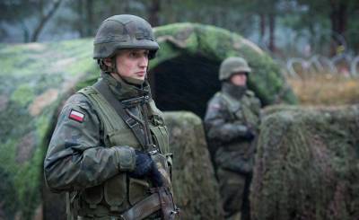 Defence 24 (Польша): кто заинтересован в ослаблении позиции Польши?