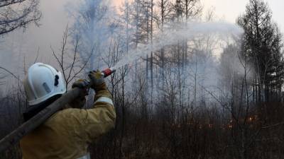 В России за сутки ликвидировали 56 природных пожаров