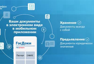 В России летом появится приложение для хранения и предъявления документов