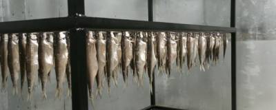 В Тулуне открыли первый рыбный комплекс