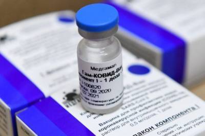 Гинцбург заявил об эффективности «Спутника V» при вакцинации животных