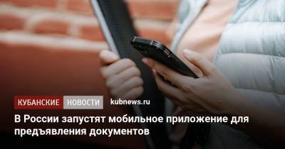 В России запустят мобильное приложение для предъявления документов