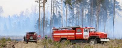 В Башкирии объявили о начале пожароопасного сезона в лесах
