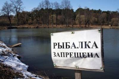 В Ярославской области ввели сезонный запрет на лов рыбы