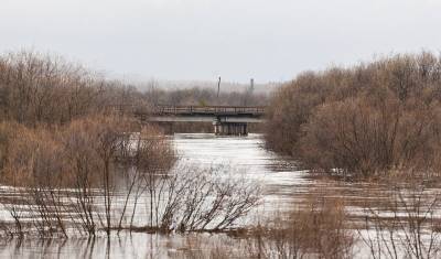 Госкомитет по ЧС назвал предварительные даты окончания паводка в Башкирии