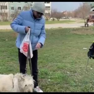 В Запорожье спасли собаку, которая упала в колодец. Видео