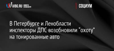 В Петербурге и Ленобласти инспекторы ДПС возобновили “охоту” на тонированные авто