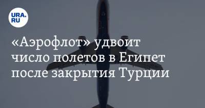 Андрей Панов - «Аэрофлот» удвоит число полетов в Египет после закрытия Турции - ura.news - Москва - Египет - Турция - Каир