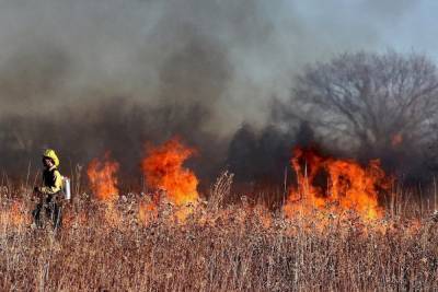 15 поджогов сухой трав зарегистрировали в Псковской области за 15 апреля
