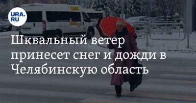 Шквальный ветер принесет снег и дожди в Челябинскую область