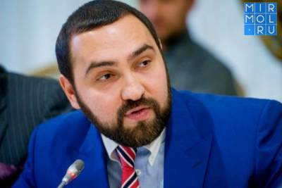 Султан Хамзаев предложил ввести ответственность за пропаганду правонарушений