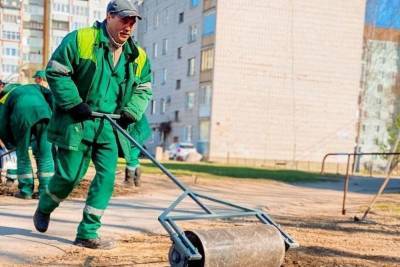 «Псковские тепловые сети» высадили газон на улице Народной в Пскове