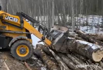 Видео: дорожники ликвидировали выезд для лесовозов на региональную трассу под Волховом