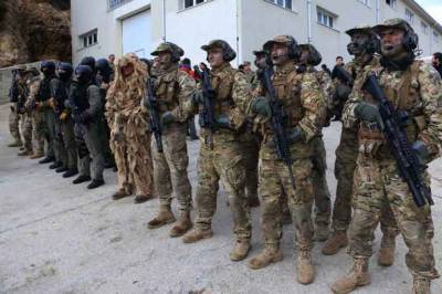 В зону ООС на Донбассе прибыли 130 турецких военных