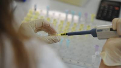 Ученые из РФ могут закончить создание съедобной вакцины от COVID-19 в течение года