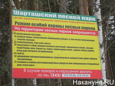 В Екатеринбурге будут брать деньги за вход в Шарташский лесопарк