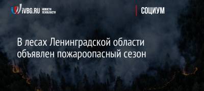 В лесах Ленинградской области объявлен пожароопасный сезон