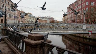 Синоптик рассказал о погоде в Петербурге