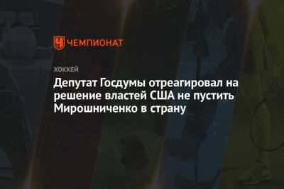 Депутат Госдумы отреагировал на решение властей США не пустить Мирошниченко в страну