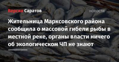 Жительница Марксовского района сообщила о массовой гибели рыбы в местной реке, органы власти ничего об экологическом ЧП не знают