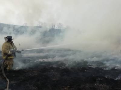 МЧС без сна и отдыха: за сутки в регионе выгорело почти 24 гектара травы