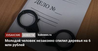 Молодой человек незаконно спилил деревья на 6 млн рублей