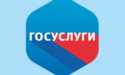 Правительство предложило создавать россиянам аккаунт на «Госуслугах» сразу после рождения