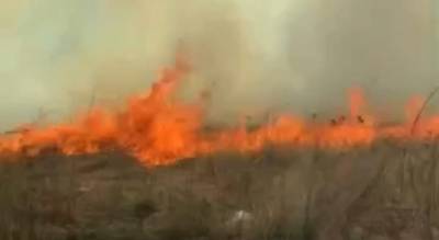 Машины в огне: ярославцы сами тушили масштабный пожар в Брагино. Видео