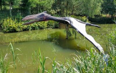 Палеонтологи: Секрет прочности шеи огромных птерозавров кроется в особой конструкции