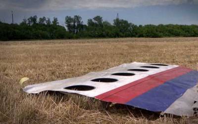Катастрофа MH17: родичі жертв на суді вимагають компенсацій