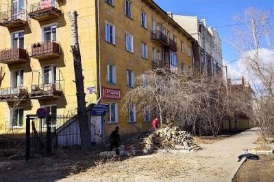 УК «РЭЦ» обрезала дерево на Чайковского, 3 в Чите из-за опасности обрушения веток