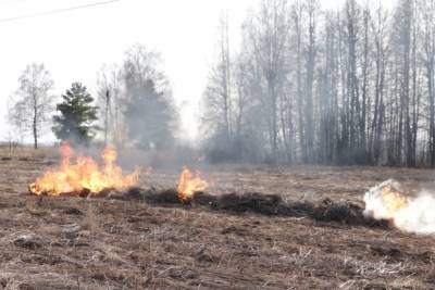 Во Владимирской области с 16 апреля введен особый противопожарный режим
