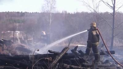 Сразу в нескольких регионах ведут борьбу с природными пожарами