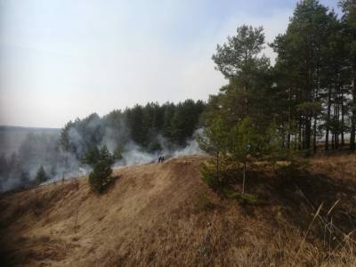 Пал сухой травы подверг угрозе возгорания село в Кстовском районе