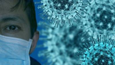 Жаркое лето в России поможет остановить распространение коронавируса