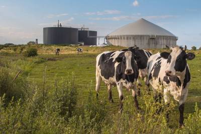 По какому принципу работают биогазовые установки и в чем их польза?