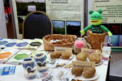 Агробиотехнологи из Коми получили международную награду за свой картофель
