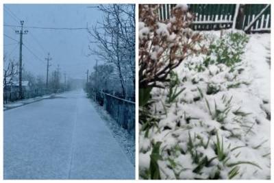 Одесскую область засыпало снегом посреди весны: кадры аномалии разлетелись по сети