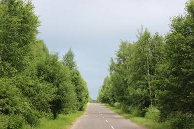 В Тверской области чиновников заставили осветить районные дороги
