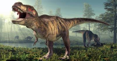 Ученые выяснили, сколько всего тираннозавров рексов населяли Землю