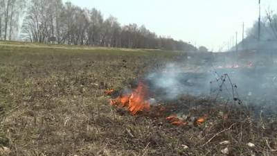 Вести. Огонь не унимается: в Тамбовской области полыхает трава