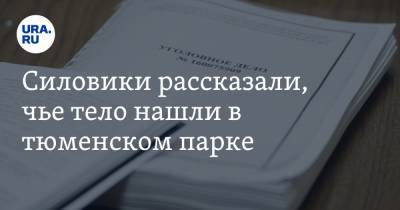 Силовики рассказали, чье тело нашли в тюменском парке