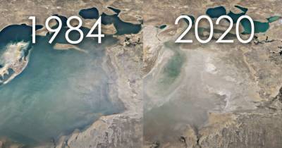 Сервис Google Earth показал, как изменилась Земля за почти 40 лет (видео)
