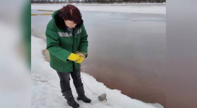 Росприроднадзор обвинил мэрию Ярославля в загрязнении воды