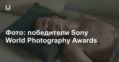 Фото: победители Sony World Photography Awards