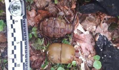 В Ровенской области подросток нашел в лесу термос с гранатами
