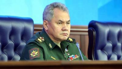 Шойгу оценил роль России в прекращении боевых действий в Ливии