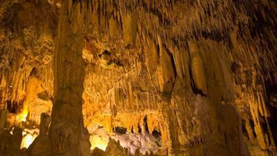 Ученые определили волны миграции неандертальцев по следам ДНК в пещерах